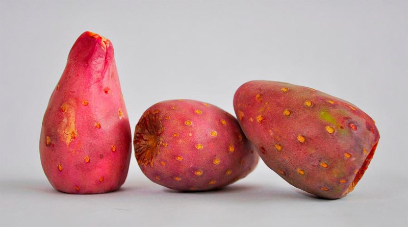 NOTICIA-2-Crean-botana-a-partir-del-xoconostle-que-reduce-glucosa